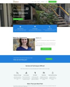 Spicer Chiropractic Homepage Screenshot