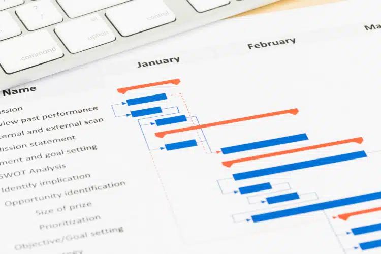 Project Timelines and Deadlines in a sheet of paper.